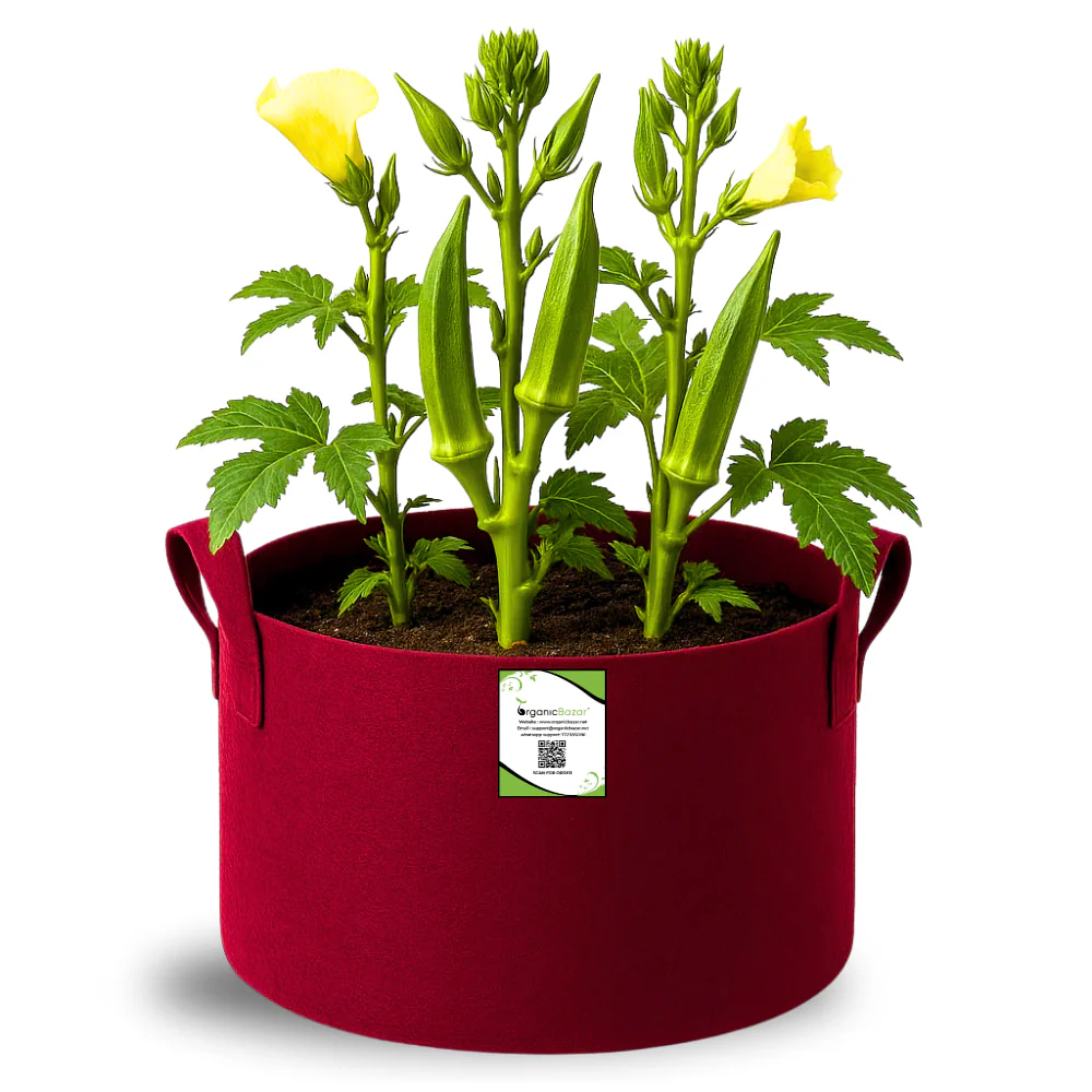 OrganicBazar 15X12 Geo Fabric Grow Bags for Terrace Garden - Image 5