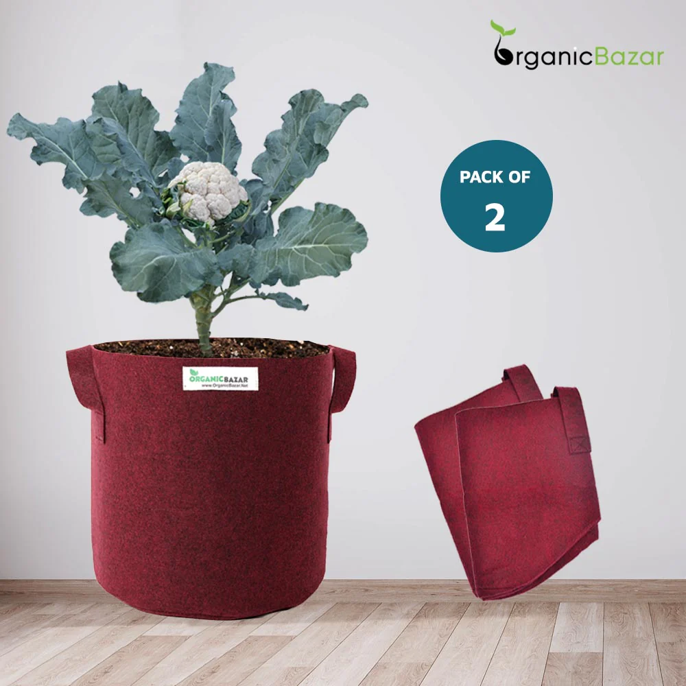 Premium 15x18 Geo Fabric Grow Bags For Terrace Gardening - Image 5