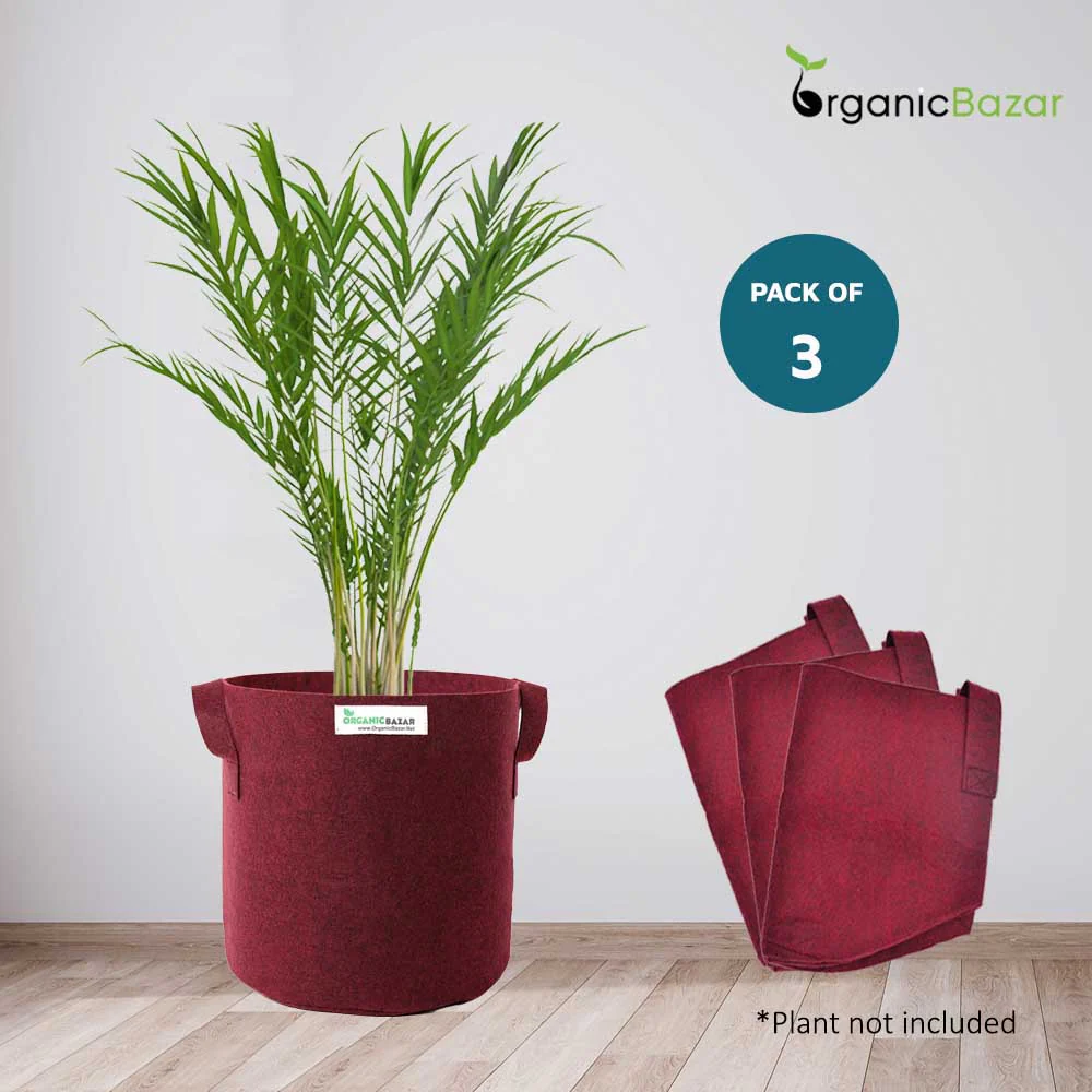 Premium 15x18 Geo Fabric Grow Bags For Terrace Gardening - Image 6