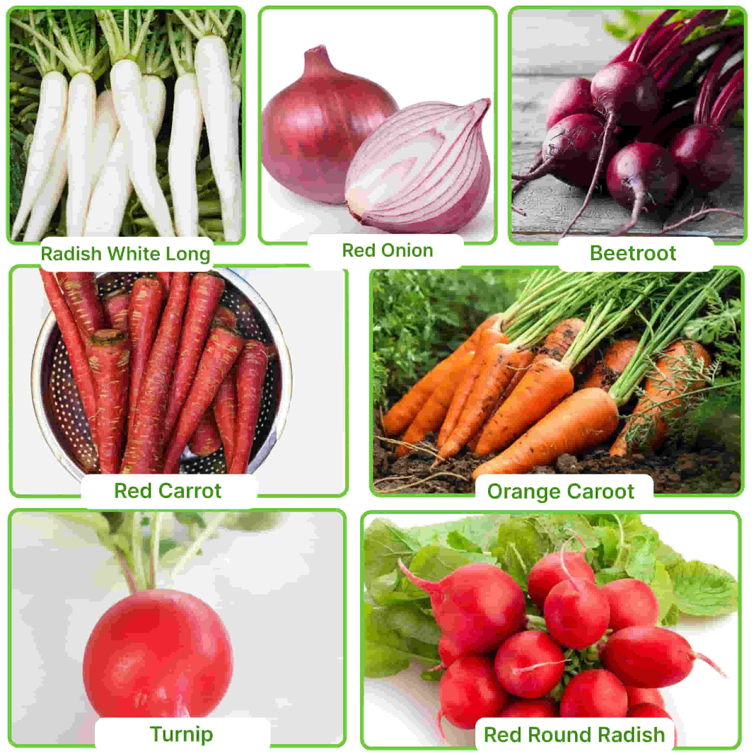 45 Variety of Vegetable Seeds kit With High Germination Rate - Image 13