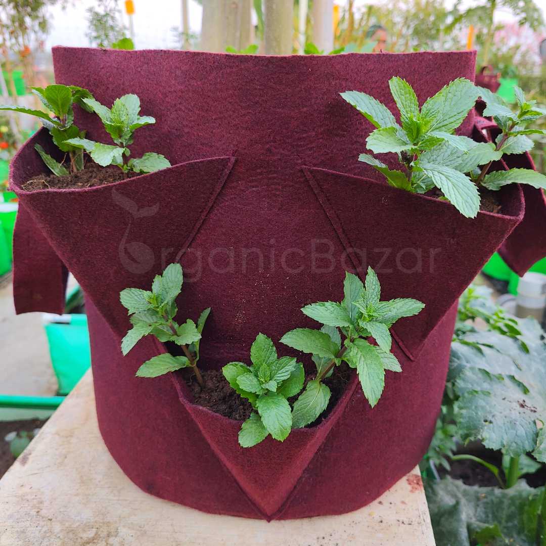 Side Pocket Grow Bags With 6 Grow Pouches for Vegetable Herb And Flower Plants - Image 2