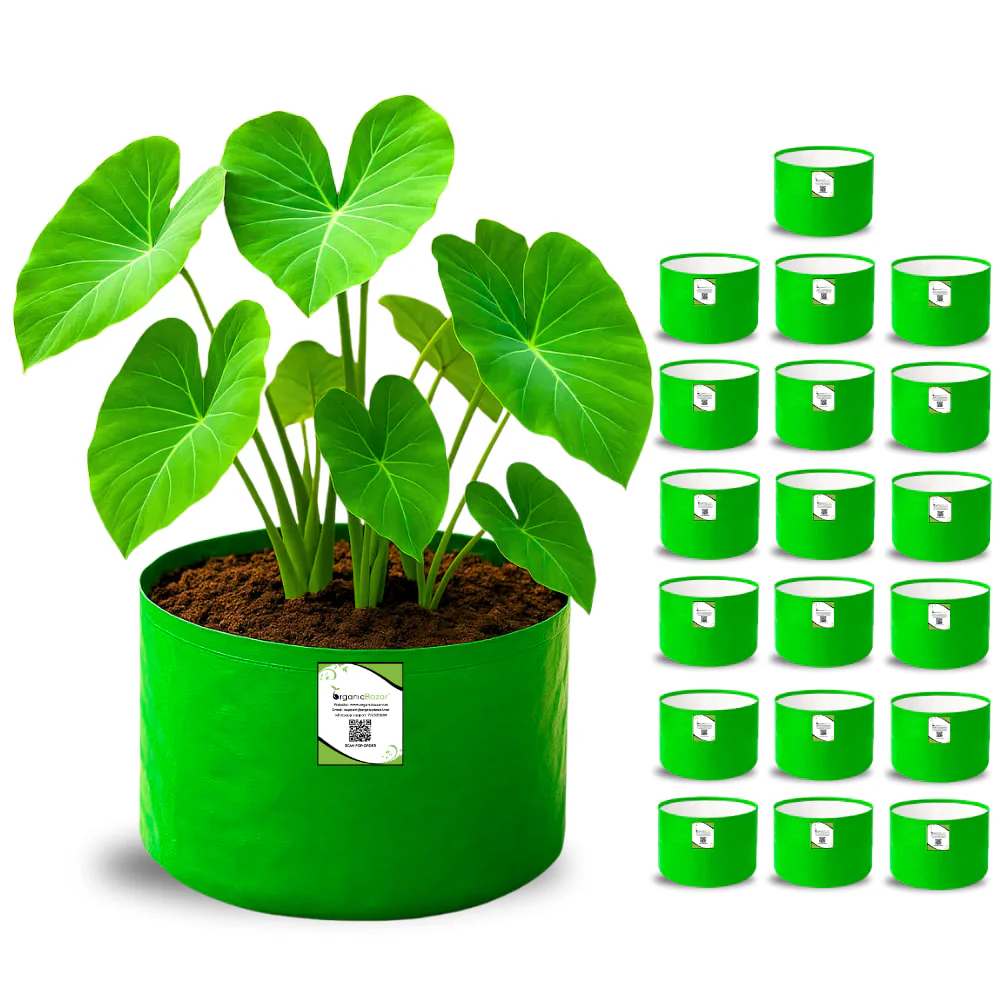 OrganicBazar 9x6 Small Grow Bag for Terrace Garden, Premium HDPE 260 GSM, Green Plant Bags - Image 4
