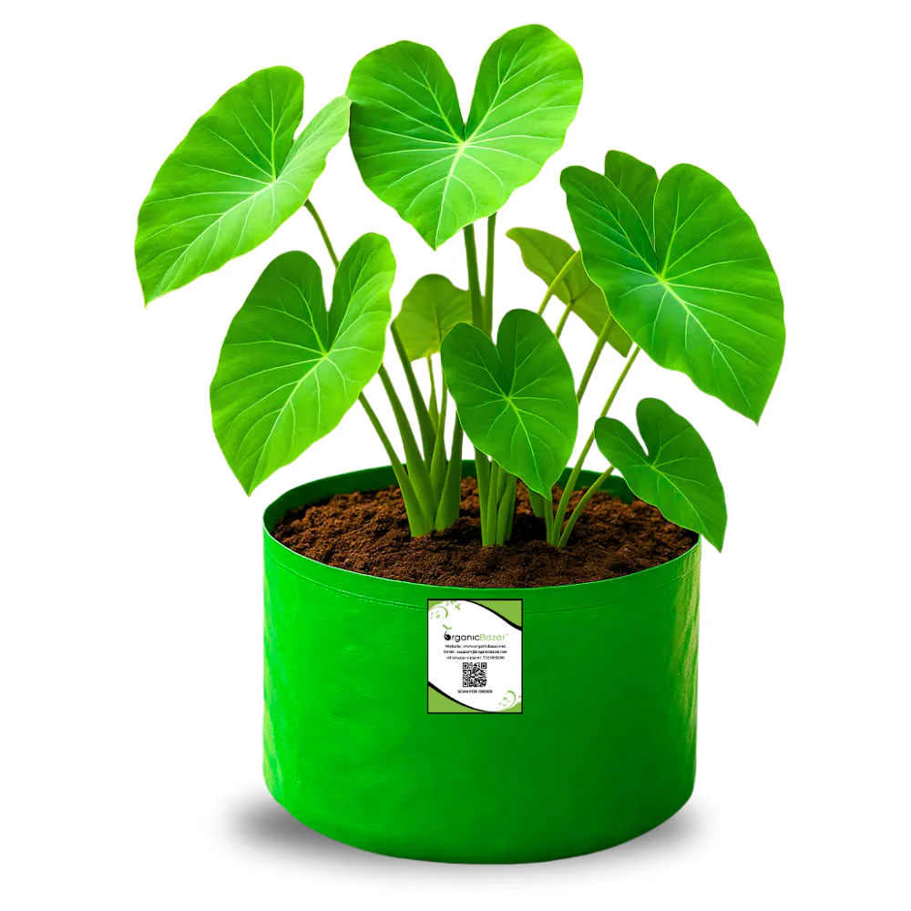 OrganicBazar 9x6 Small Grow Bag for Terrace Garden, Premium HDPE 260 GSM, Green Plant Bags - Image 6