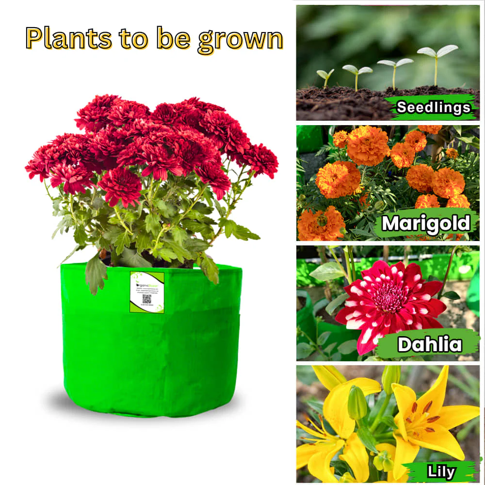 OrganicBazar 9x6 Small Grow Bag for Terrace Garden, Premium HDPE 260 GSM, Green Plant Bags - Image 7
