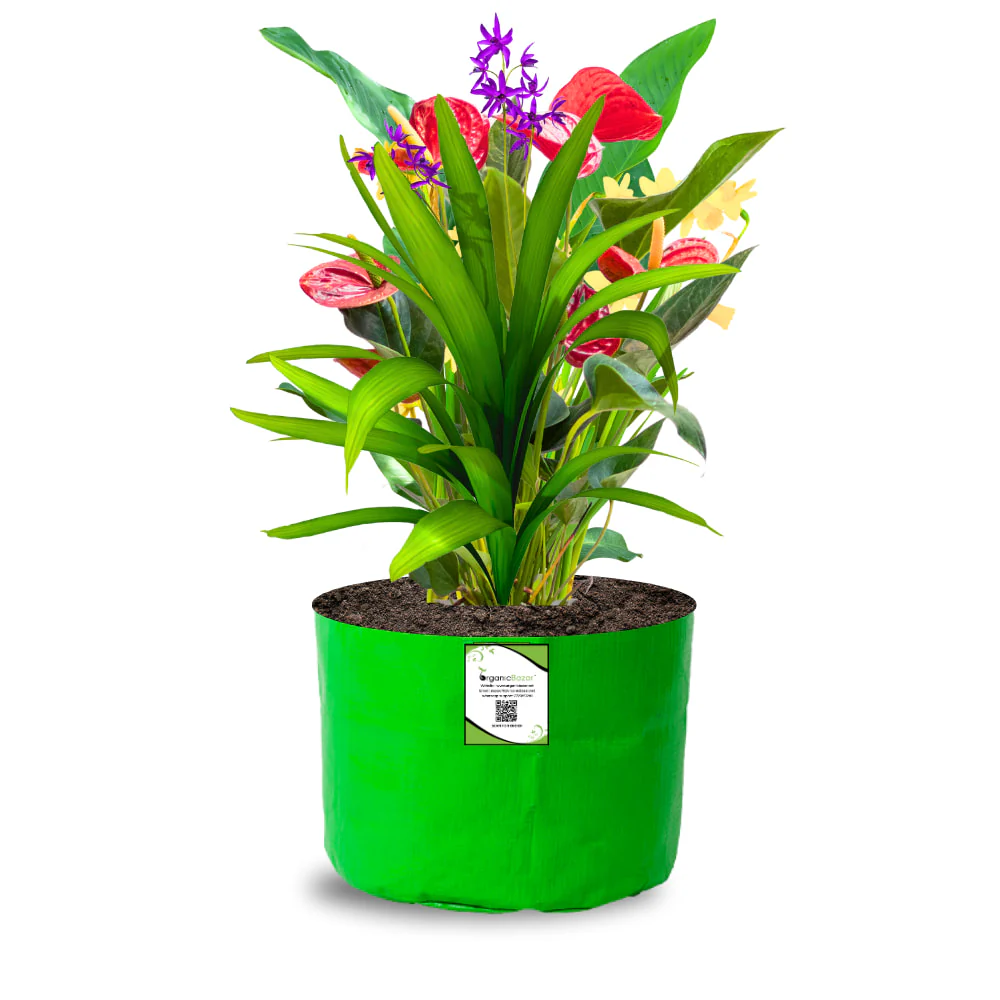 OrganicBazar 9x6 Small Grow Bag for Terrace Garden, Premium HDPE 260 GSM, Green Plant Bags - Image 9