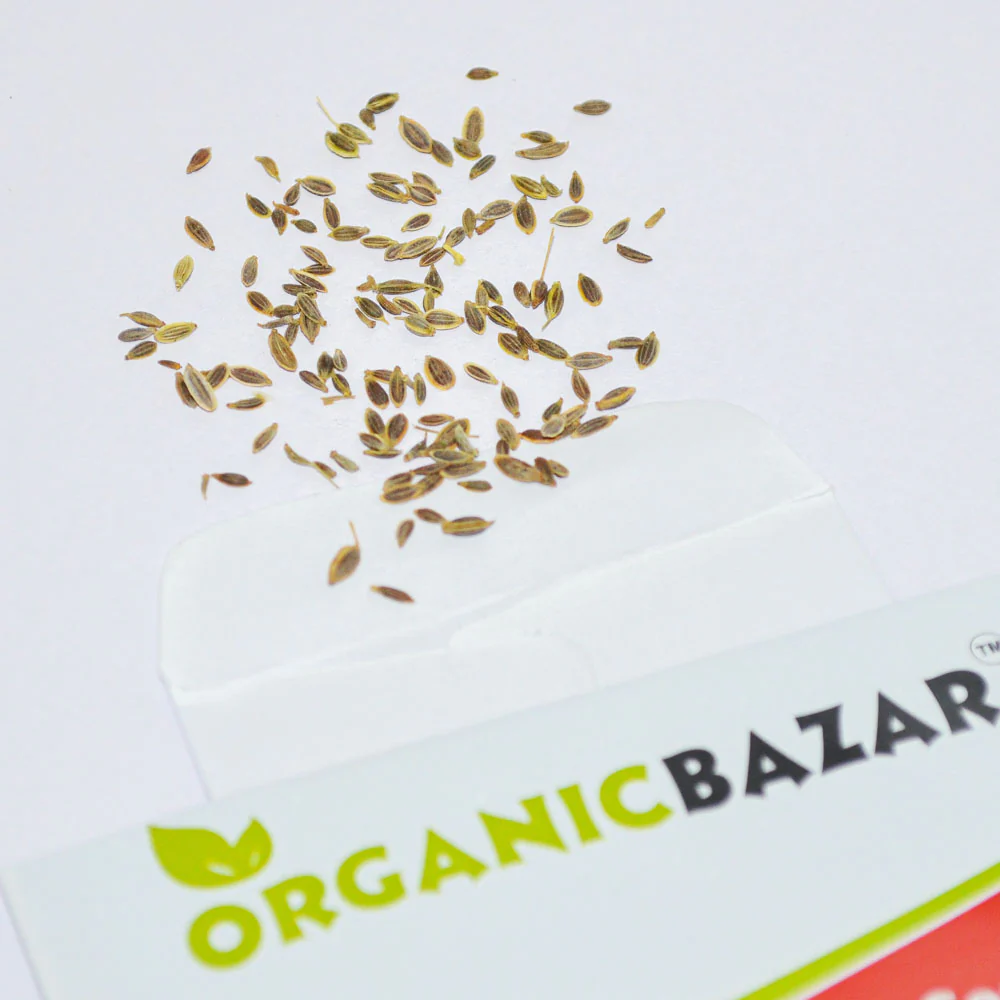 Anise Imported Seeds (100 Seeds) - Image 3