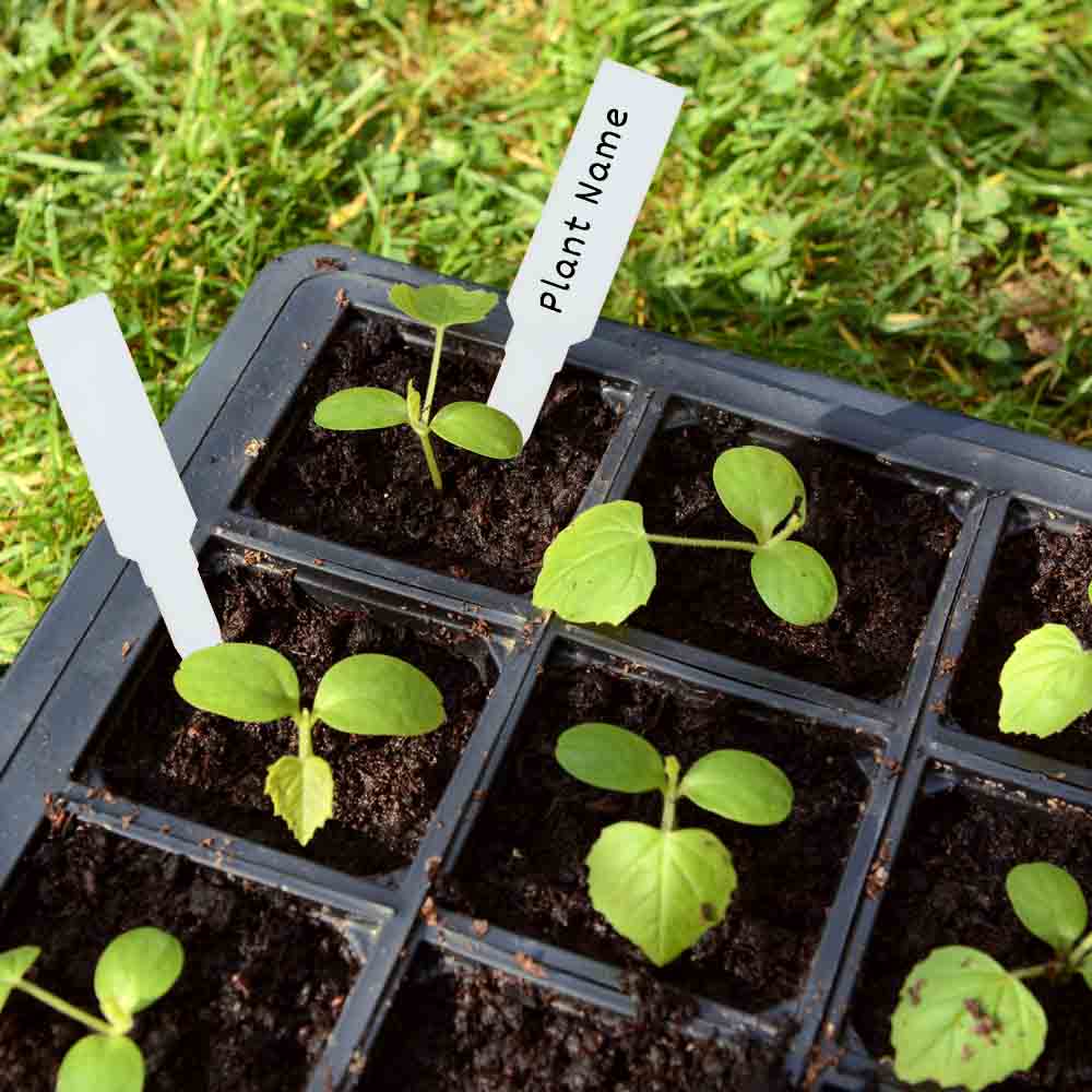 Arrow shape Plant Tag Marker label White for Home Gardening - Image 3