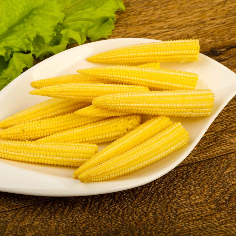 Baby Corn (Makka) Seeds - 30 Seeds (मक्का के बीज) High Germination, Easy to Grow, Premium Quality Baby Corn Seeds for Kitchen Gardening - Image 4