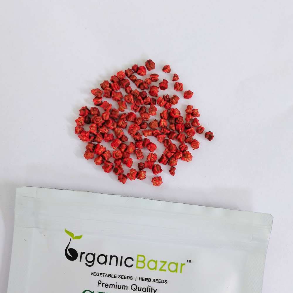 Beetroot (chukandar) Seeds - 150 Seeds (चुकंदर के बीज) - Image 5