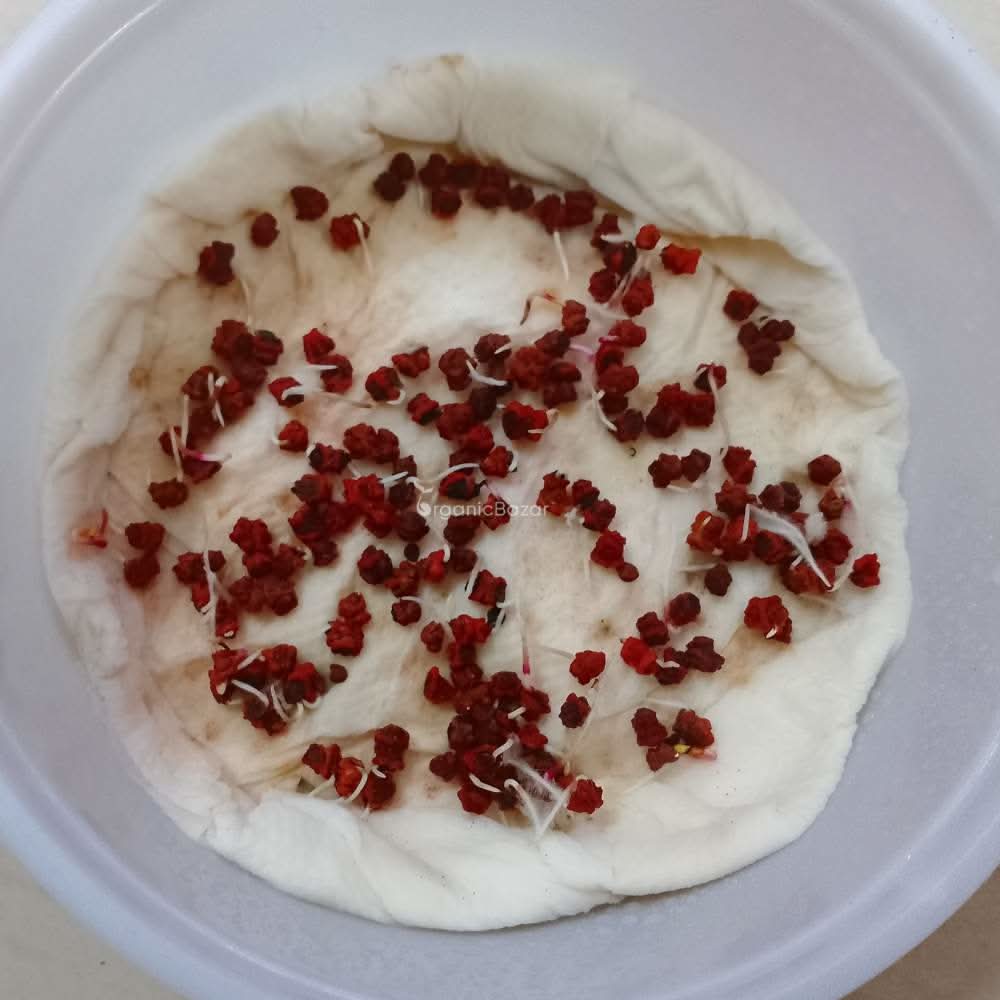 Beetroot (chukandar) Seeds - 150 Seeds (चुकंदर के बीज) - Image 6