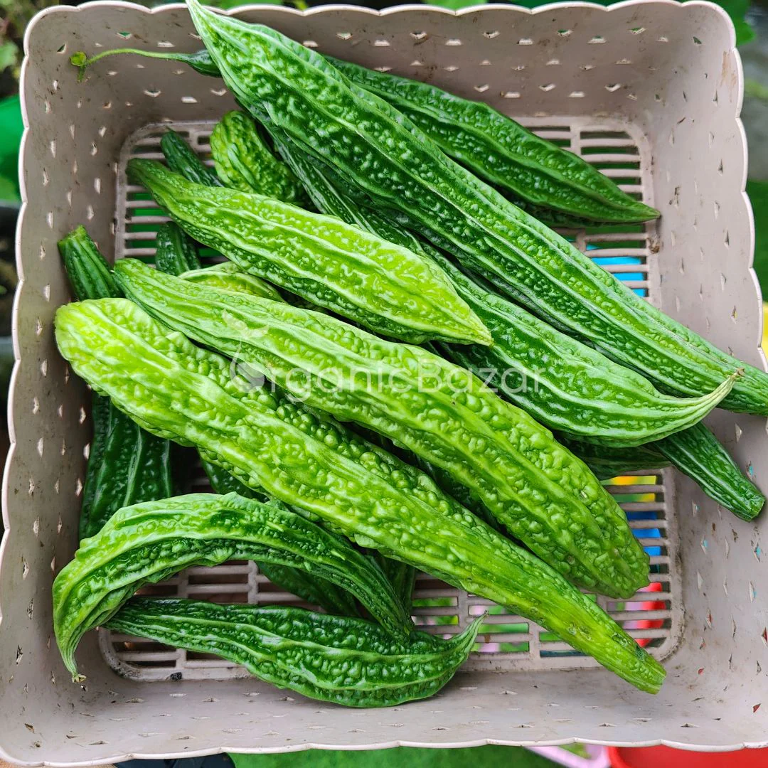 Bitter Gourd Jhalari Seeds - 12 Seeds (karela/करेला के बीज) Easy To grow, High Germination, High Yield Karela Seeds for Home Gardening - Image 3