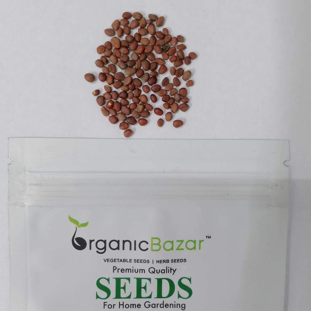 Black Radish Round Seeds - 100 Seeds (kali Mooli/ काली मूली के बीज) - Image 4