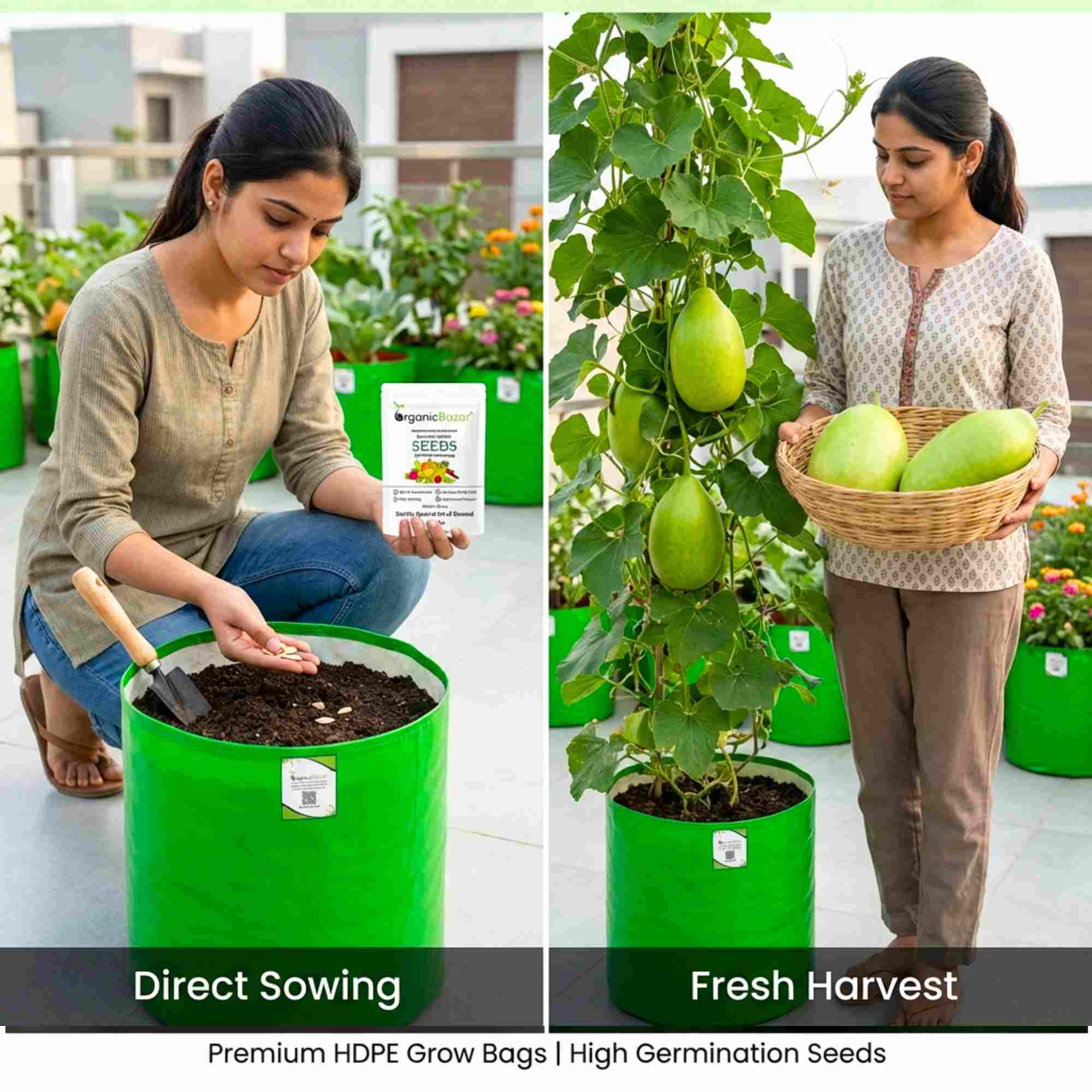 Bottle Gourd (Lauki / Ghiya) Oval Round Seeds - 12 Seeds (गोल लौकी के बीज) Easy To grow, High Germination, High Yield,  Perfect Seeds for Terrace gardening - Image 4