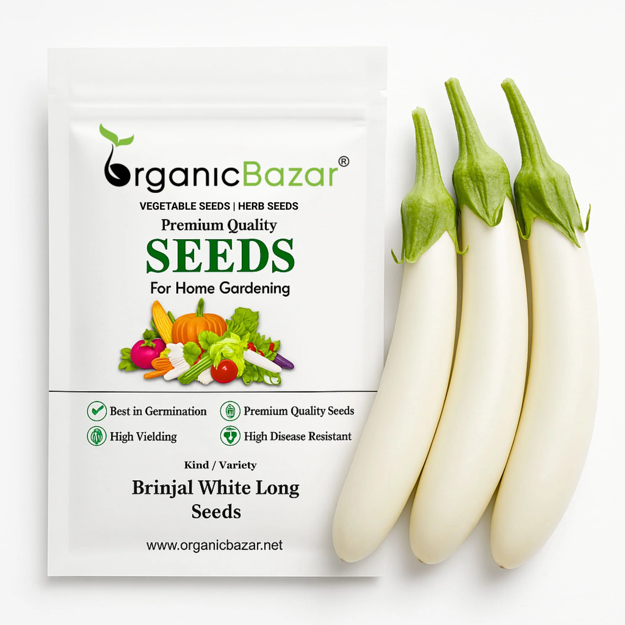 Brinjal White Long Seeds - (50 Seeds) High Yield/ High Germination / Perfect for Terrace/Kitchen Gardening (Baingan/eggplant/ बैंगन के बीज)