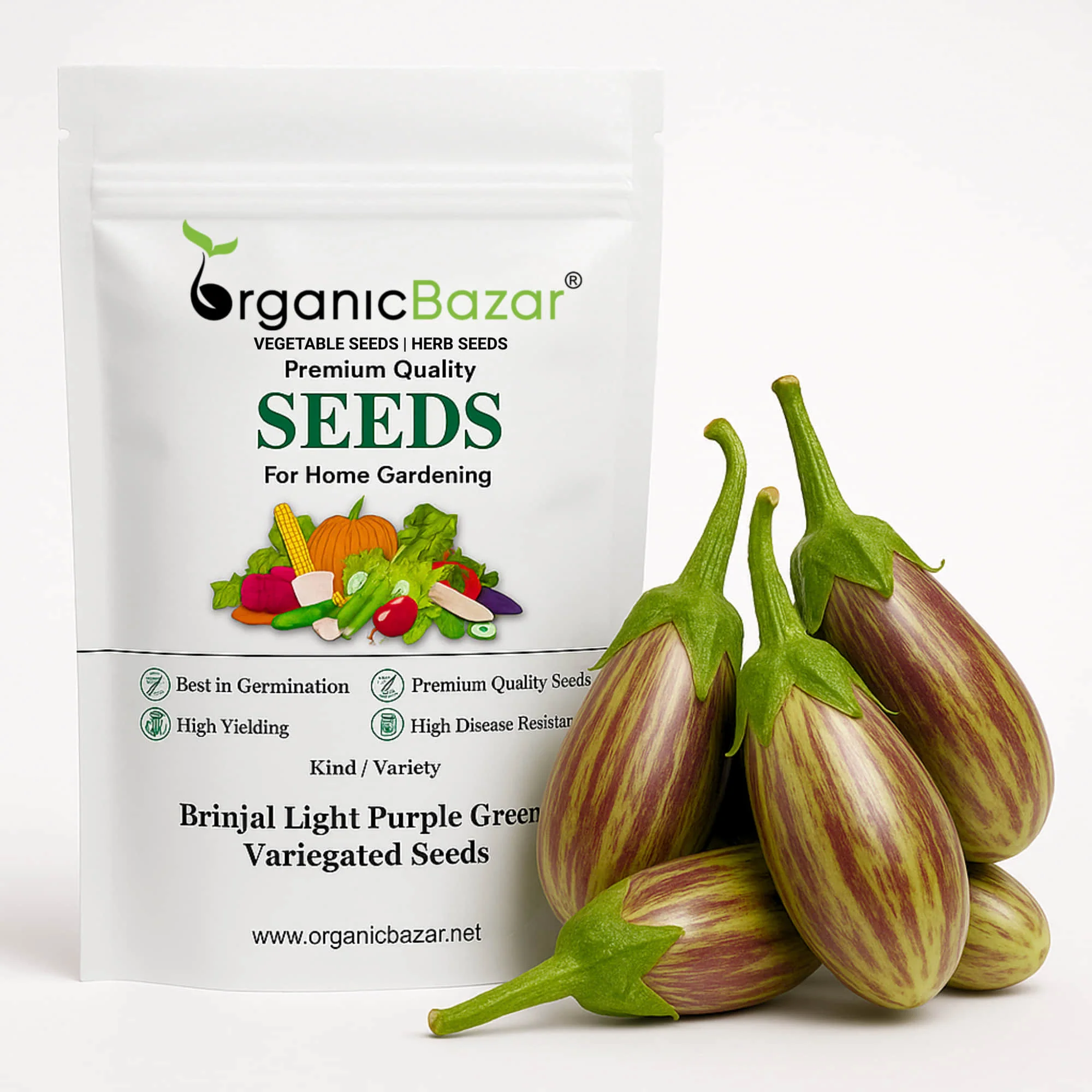 Brinjal Light Purple Green Variegated Seeds - (50 Seeds) High Germination/ High Yield / Ideal for Terrace/Kitchen Gardening (Baingan/eggplant/ बैंगन के बीज)