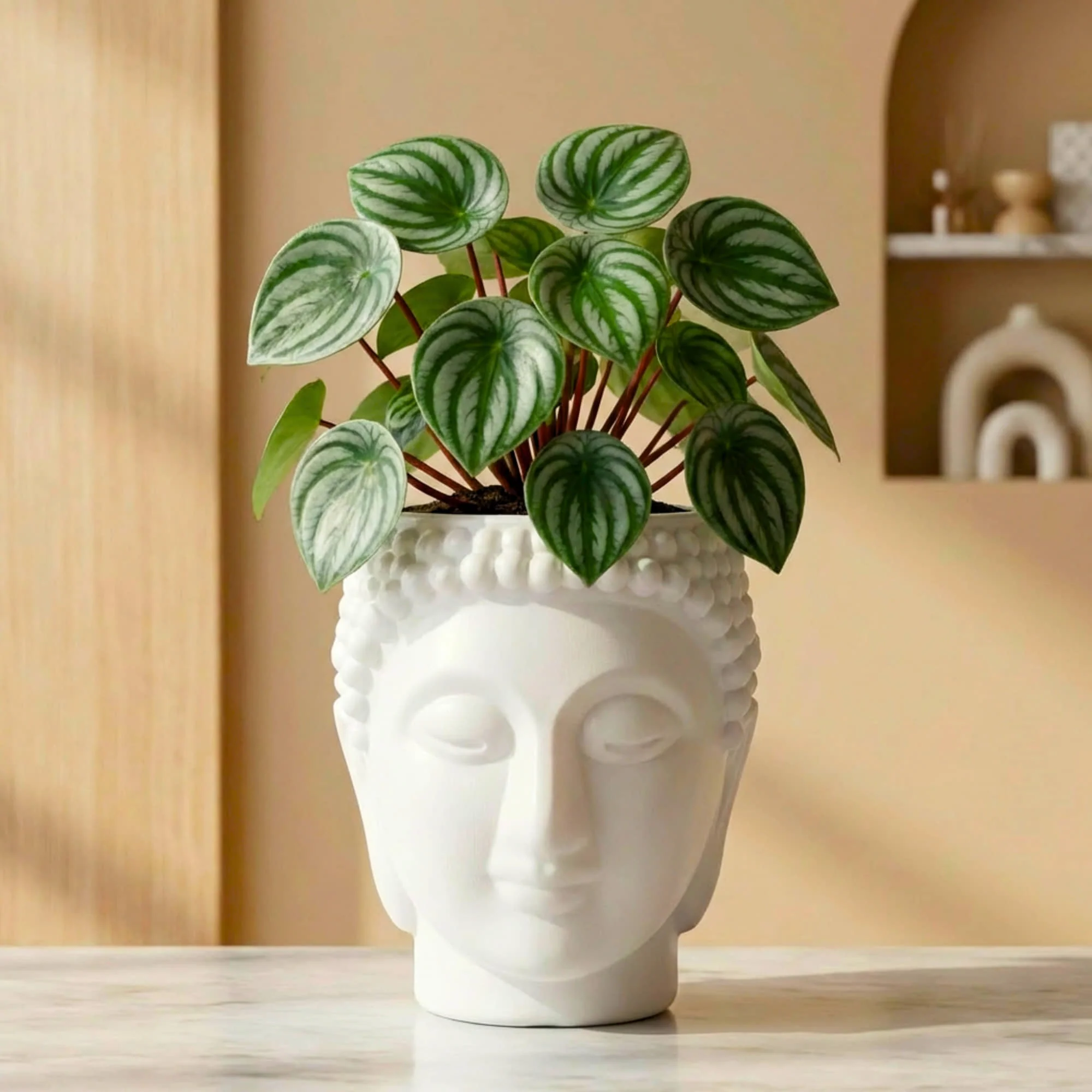 Buddha Face Planter Plastic Pot (Pack of 1) – Luxury Geometric Designer Unique Plant Pots for Living Room, Bedroom, Office, Villa, & premium commercial interiors - Image 6