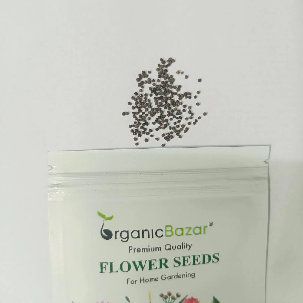 California Poppy Orange Seeds - 200 Seeds (Khus Khus/Posta/पोस्ता के फूल) High Germination/ Easy To grow/ Perfect for pots, balconies, or Terrace gardens - Image 3