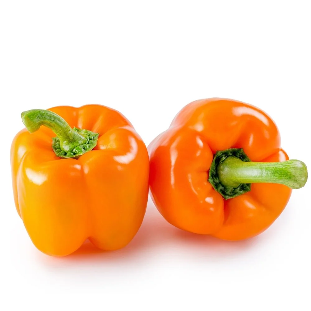 Capsicum Orange (OP) Seeds - (30 Seeds) High Yield/ High Germination Best for Home Gardens  (Naarangi Shimla Mirch/नारंगी शिमला मिर्च के बीज) - Image 2
