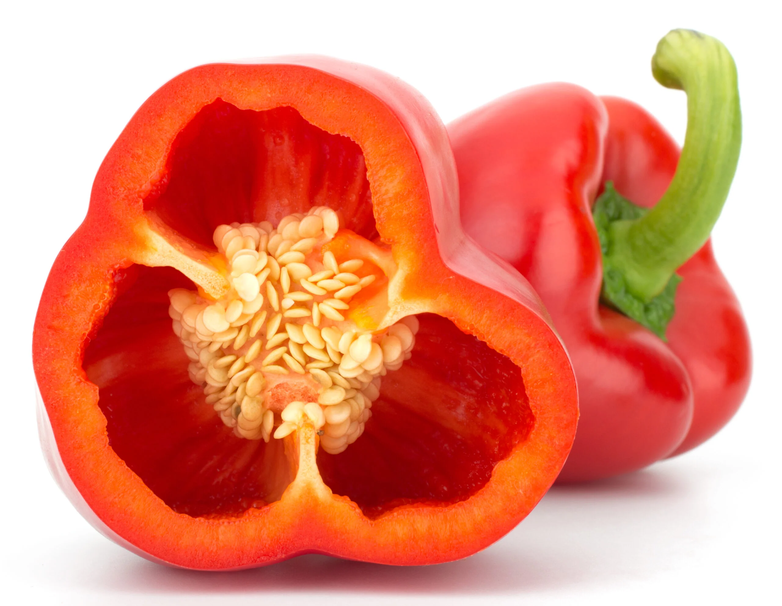 Capsicum Red ( Lal Shimla Mirch) Seeds - (30 Seeds) High Yield | High Germination | Best for Home Gardens ( लाल शिमला मिर्च के बीज) - Image 4