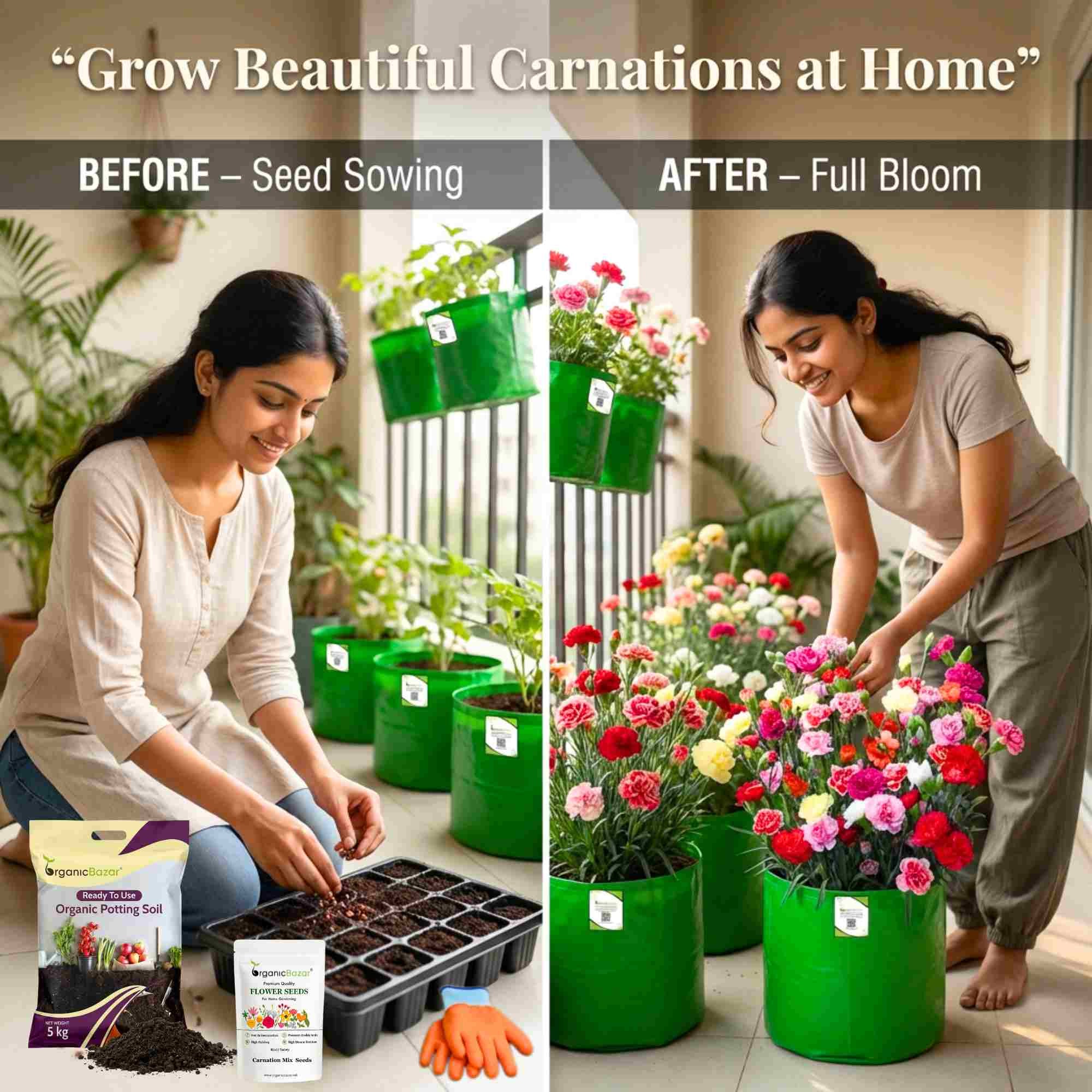 Carnation Mix Seeds (100 Seeds) High Germination/ Easy To grow/ Perfect for pots, balconies, or Terrace gardens - Image 3