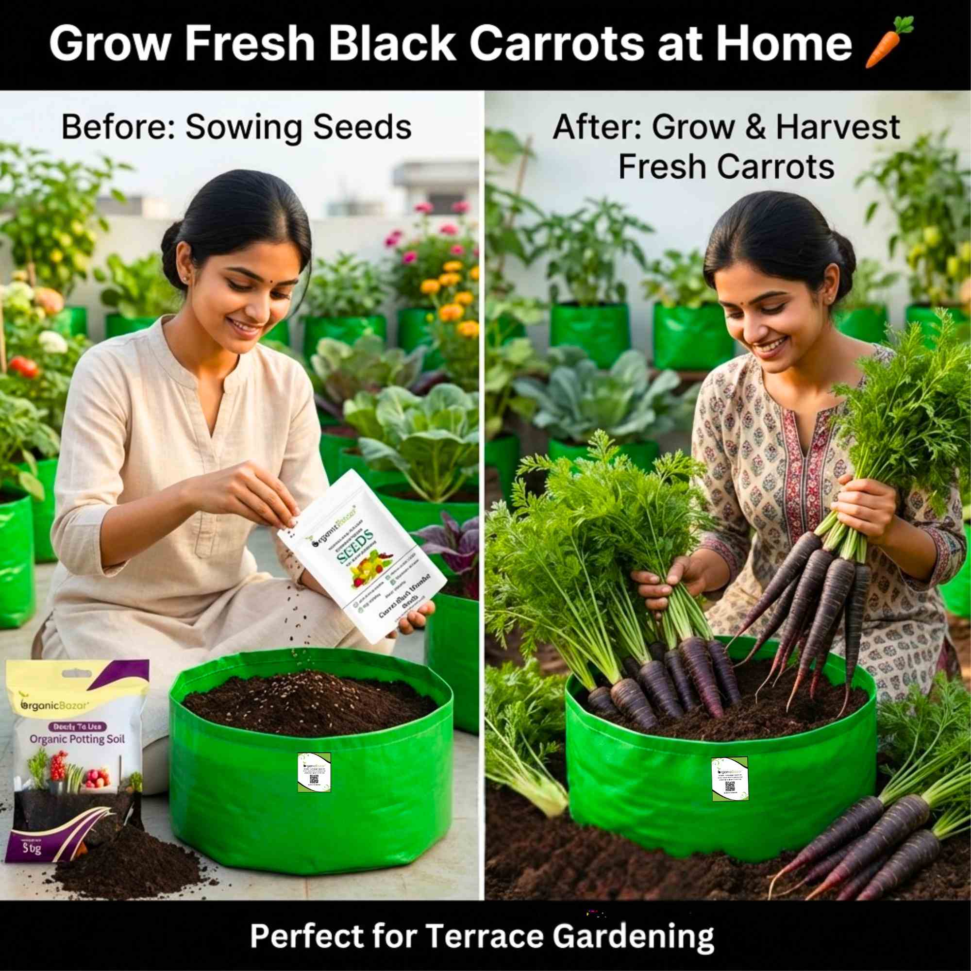 Carrot Black Wonder Seeds - 1000 Seeds (Black Gajar/ब्लैक गाजर के बीज) - Image 2