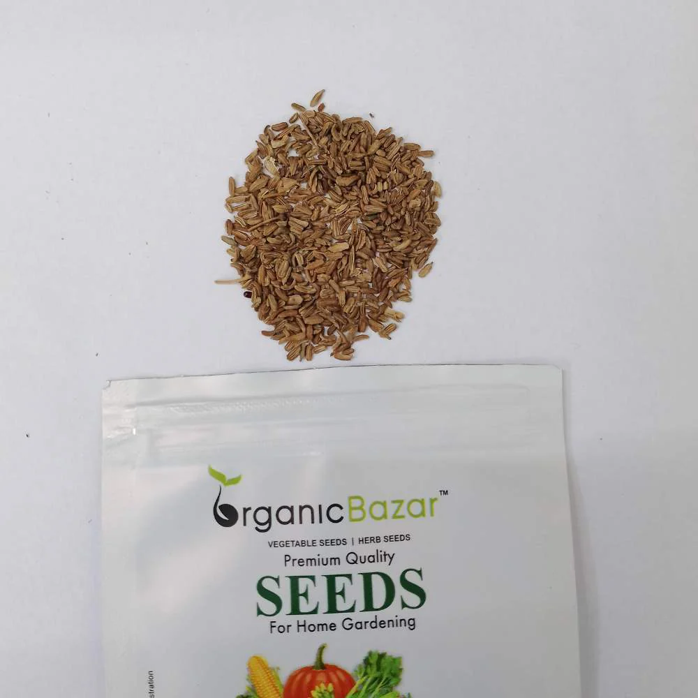 Carrot Black Wonder Seeds - 1000 Seeds (Black Gajar/ब्लैक गाजर के बीज) - Image 5