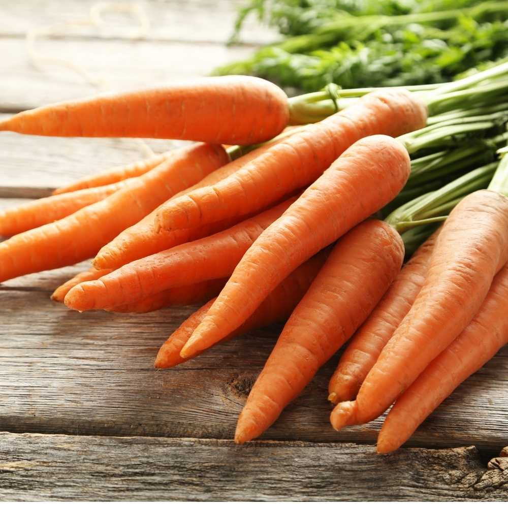 Carrot Early Nantes Seeds - 1000 Seeds (Gajar/ गाजर के बीज) - Image 2