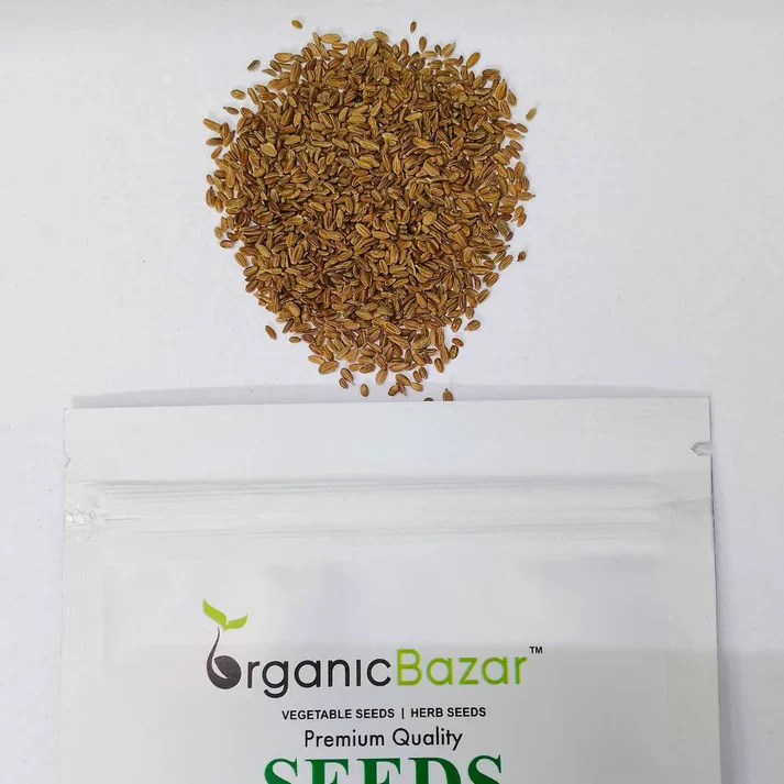 Carrot Early Nantes Seeds - 1000 Seeds (Gajar/ गाजर के बीज) - Image 3
