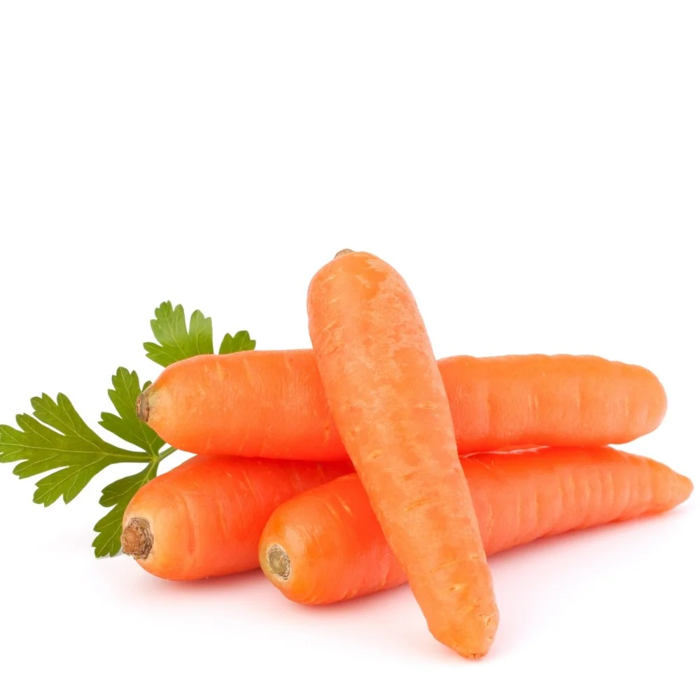 Carrot IMP Karuda Seeds - 1000 Seeds (Gajar/गाजर के बीज) - Image 2