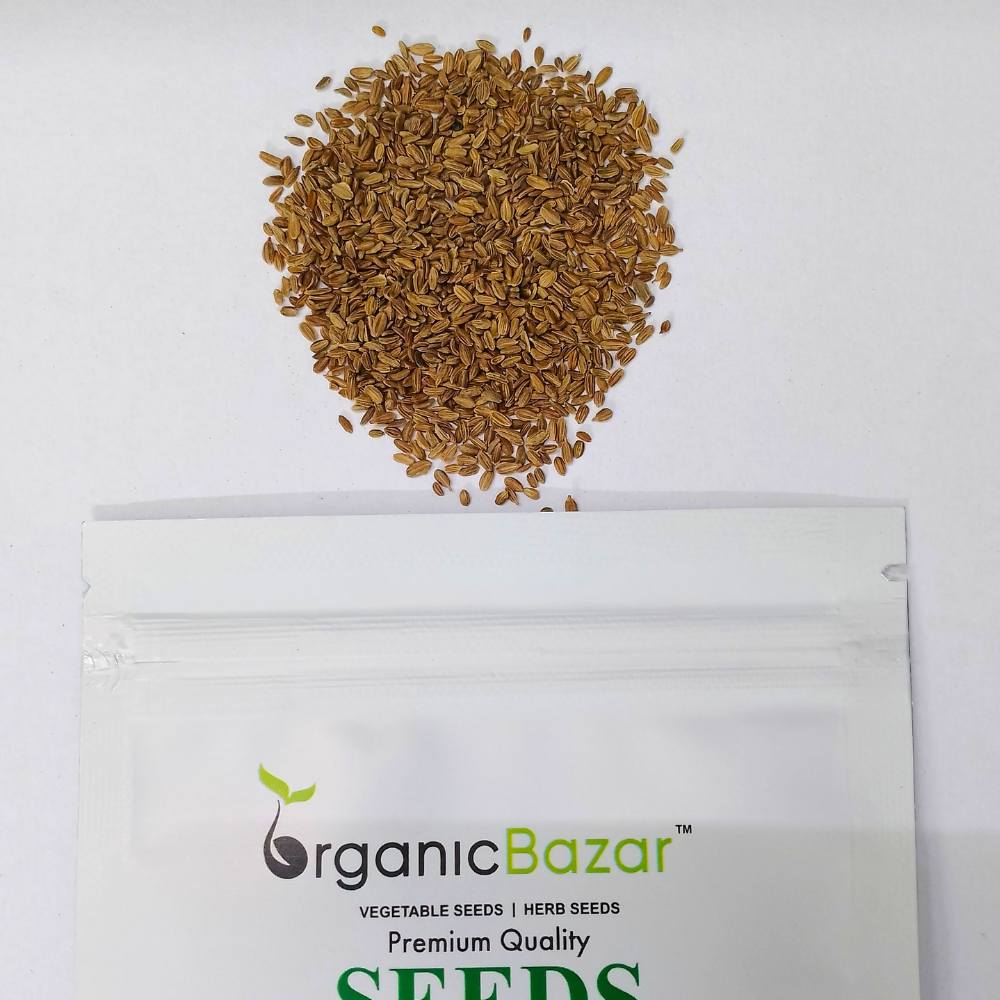 Carrot IMP Karuda Seeds - 1000 Seeds (Gajar/गाजर के बीज) - Image 3