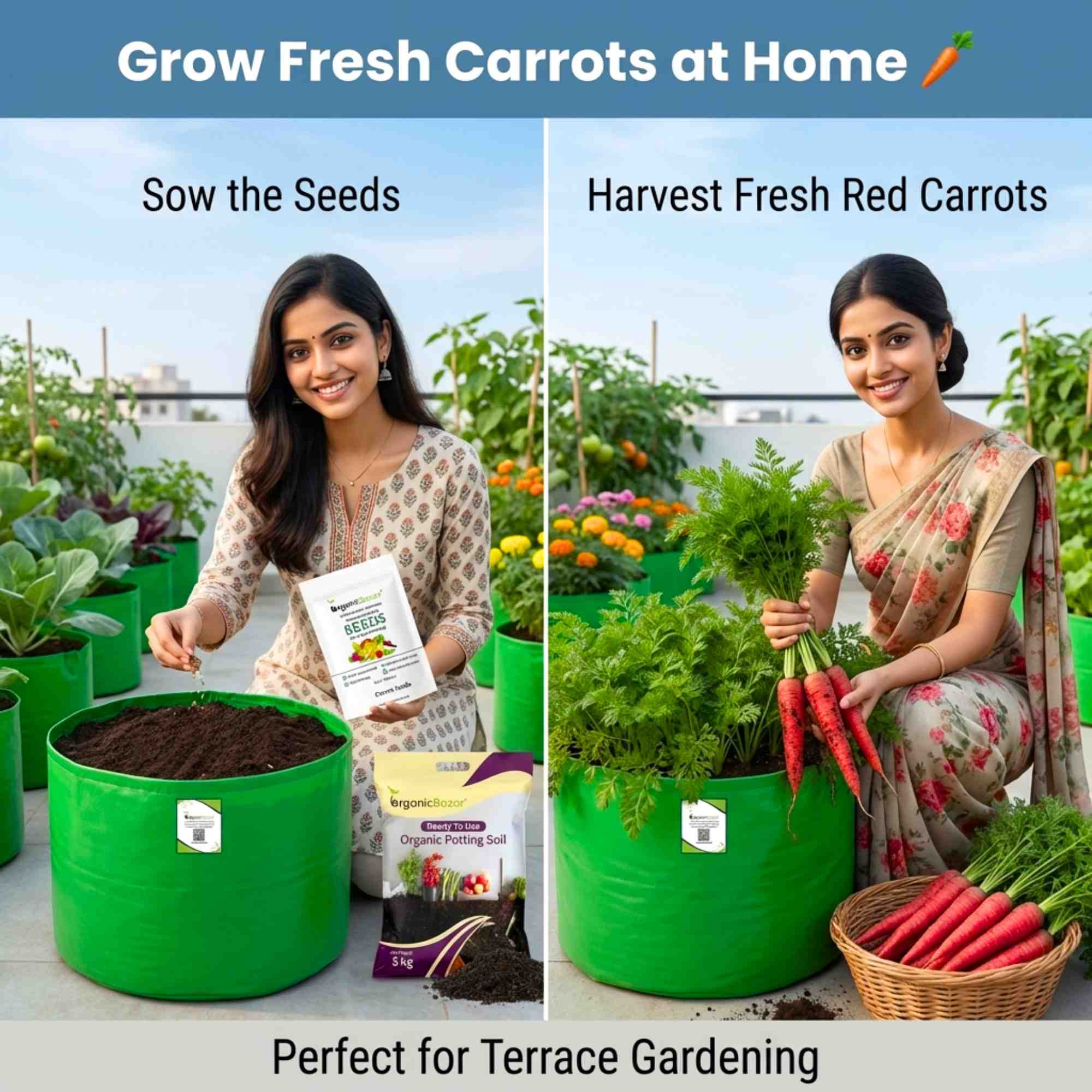Carrot Red Seeds - 1000 Seeds (Laal Gajar/लाल गाजर के बीज) - Image 2