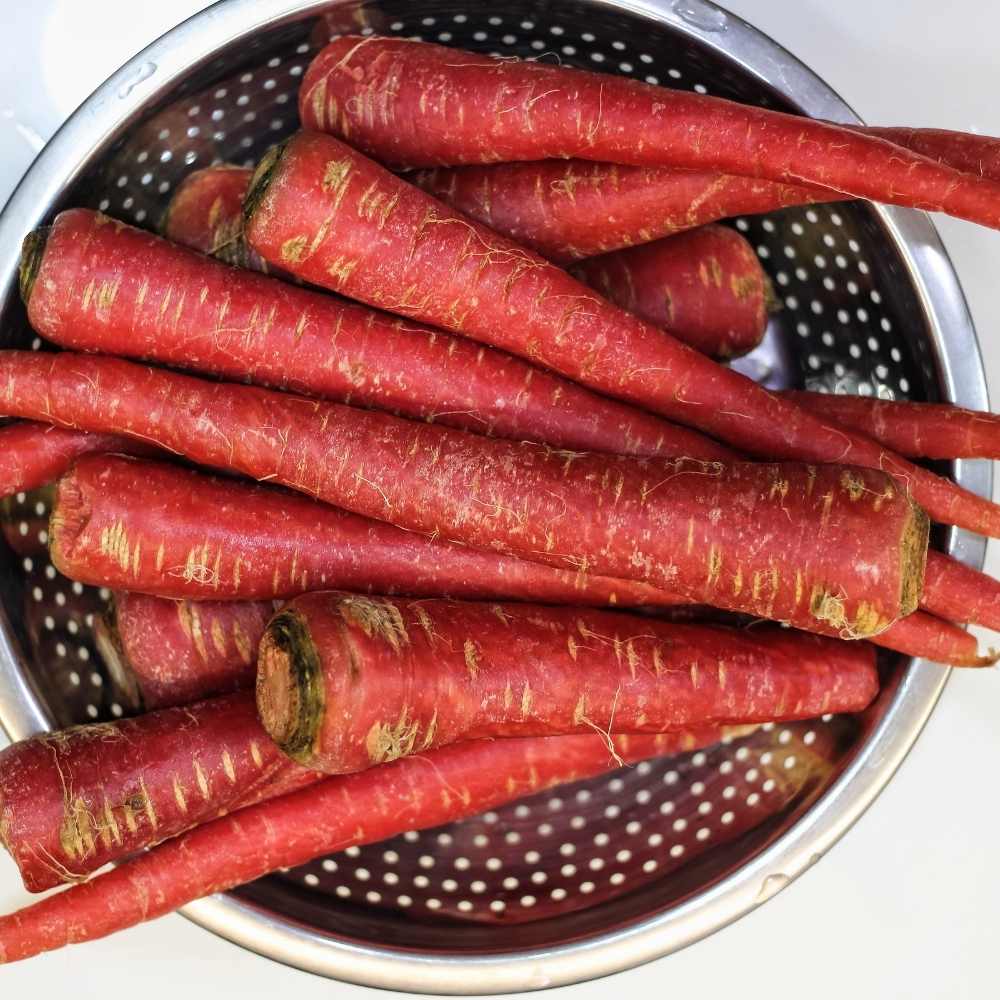 Carrot Red Seeds - 1000 Seeds (Laal Gajar/लाल गाजर के बीज) - Image 3