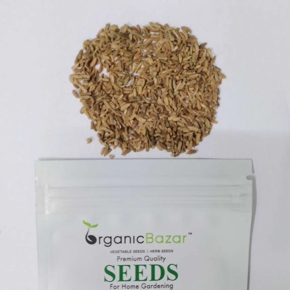 Carrot Red Seeds - 1000 Seeds (Laal Gajar/लाल गाजर के बीज) - Image 4