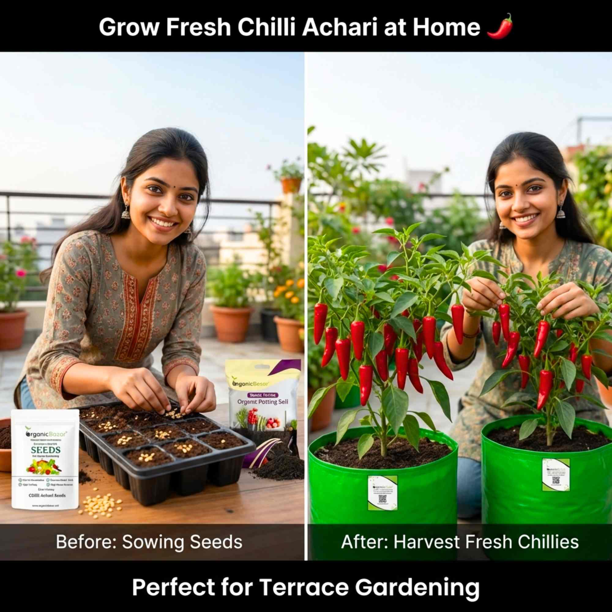 Chilli Achari Seeds - (50 Seeds) High Yield/ High Germination (Achari Mirch/ अचारी मिर्च के बीज) - Image 2