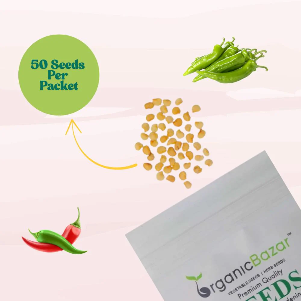 Chilli F-1 Hybrid Seeds (Mirch) Seeds - (50 Seeds) High Yield | High Germination | Best for Home Gardens (मिर्च के बीज) - Image 4