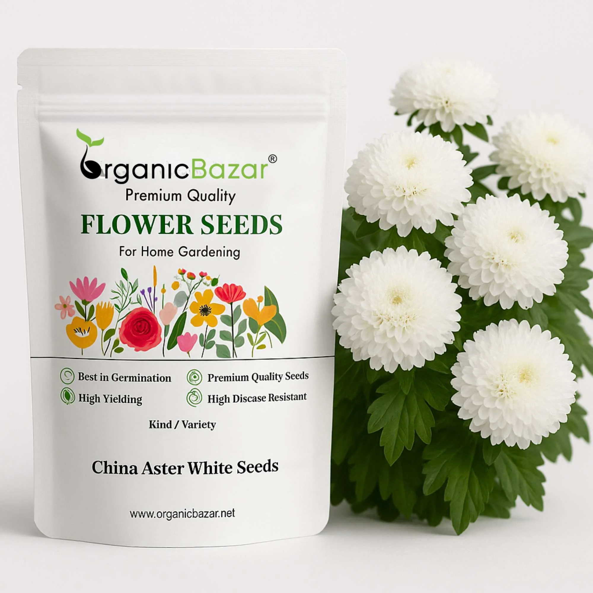 China Aster White Seeds (100 Seeds) High Germination/ Easy To grow/ Perfect for pots, balconies, or Terrace gardens