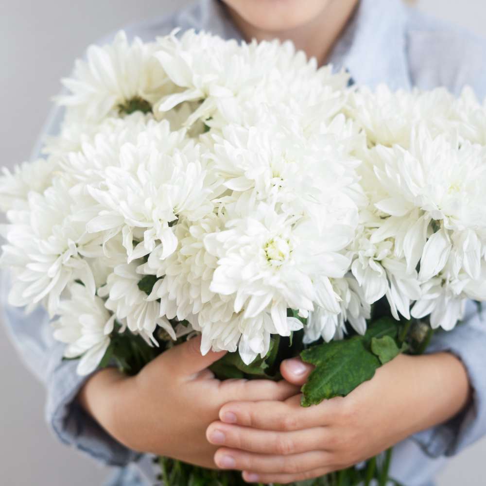 China Aster White Seeds (100 Seeds) High Germination/ Easy To grow/ Perfect for pots, balconies, or Terrace gardens - Image 2