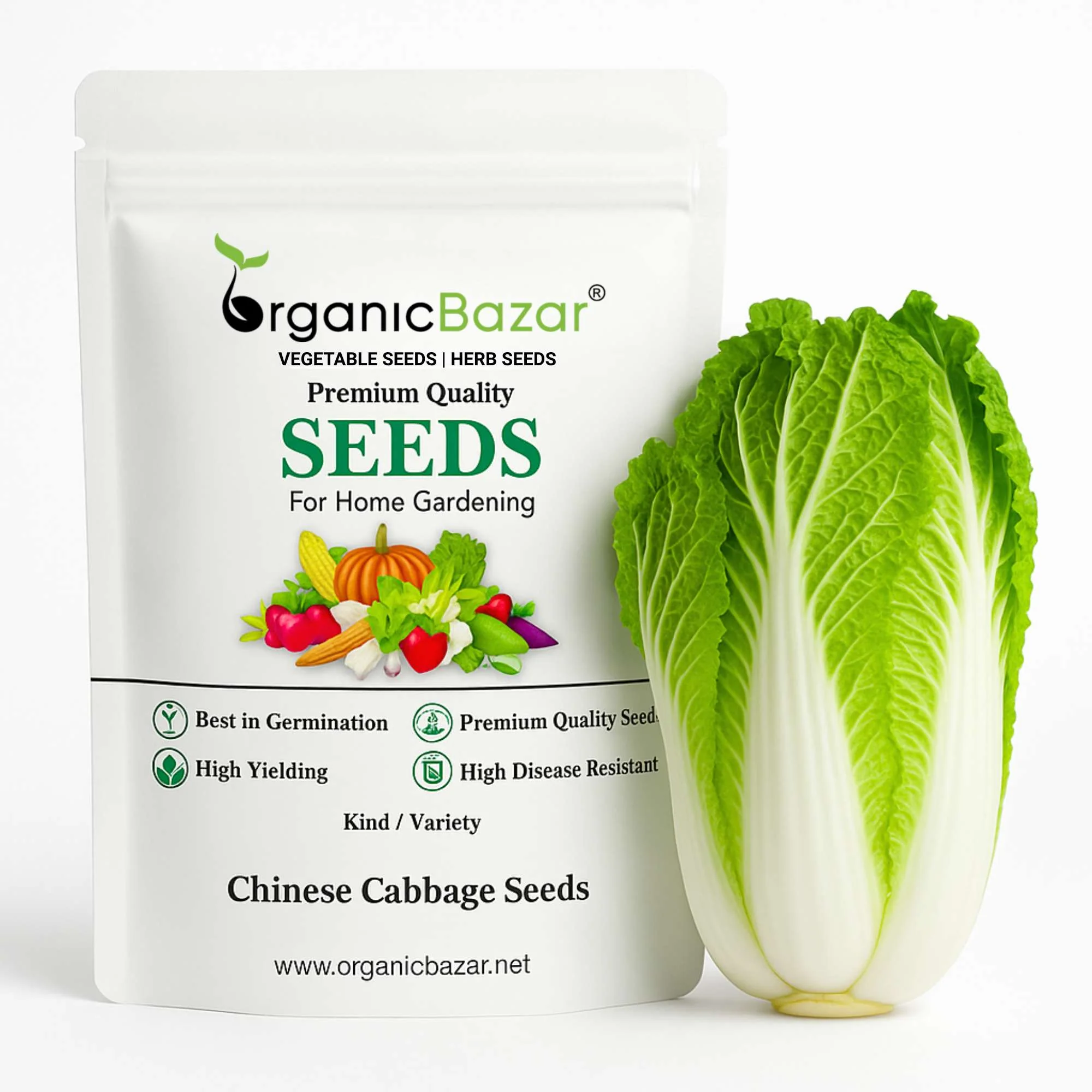 Chinese Cabbage Seeds - 150 Seeds (Chinese Patta Gobhi/चीनी पत्ता गोभी के बीज) High Germination / Easy to Grow / Ideal for Terrace/Kitchen Gardening
