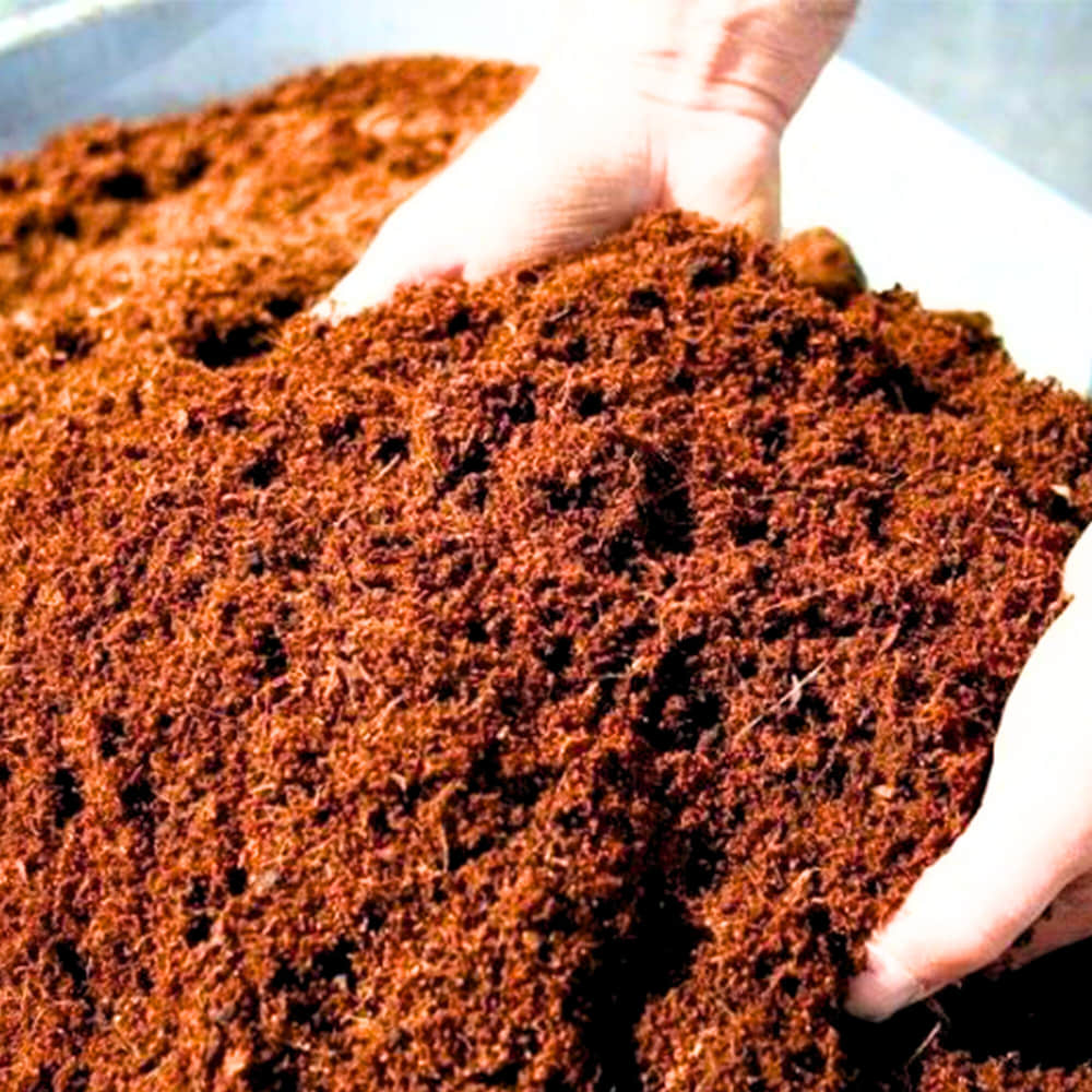 Cocopeat 1 kg Block – Organic Growing Medium for Kitchen Garden & Terrace Gardening - Image 5