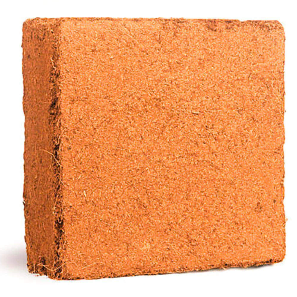 Cocopeat Brick 5 Kg Block – 100% Organic Growing Medium for Gardening - Image 4