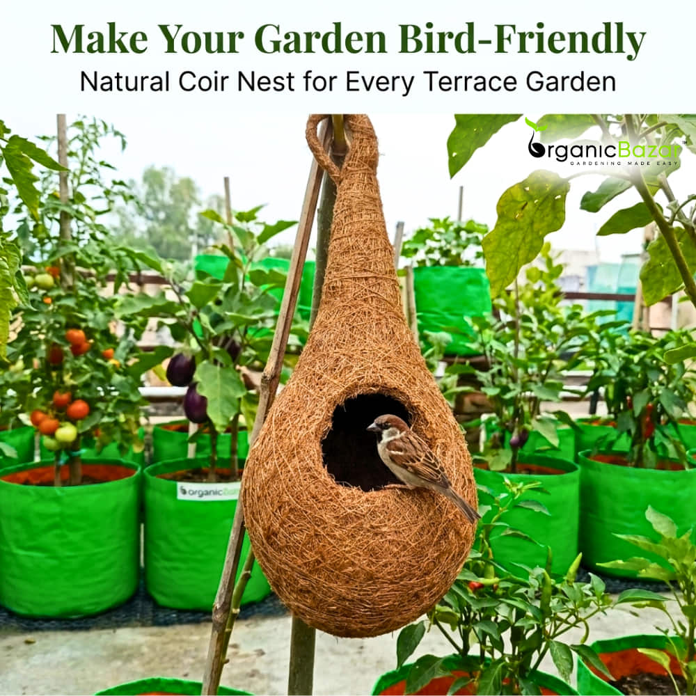 Coir Fibre Bird Nest for Garden - Image 2