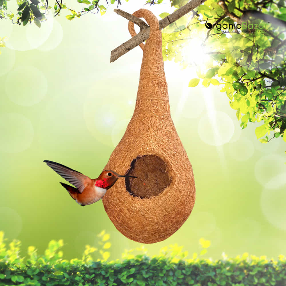Coir Fibre Bird Nest for Garden - Image 4