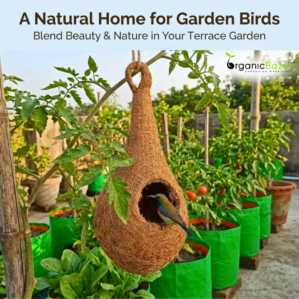 Coir Fibre Bird Nest for Garden - Image 5