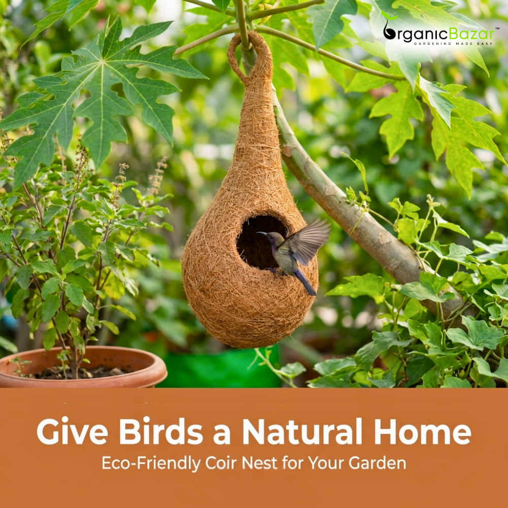 Coir Fibre Bird Nest for Garden - Image 6