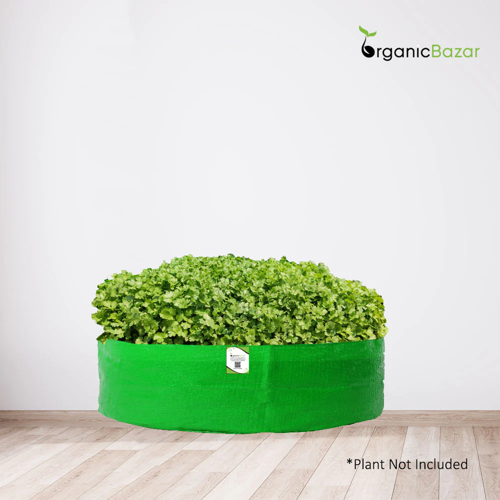 DIY Coriander (Dhaniya) Leafy Greens Growing kit for Beginners (Grow it Yourself) for Home Garden - Image 3