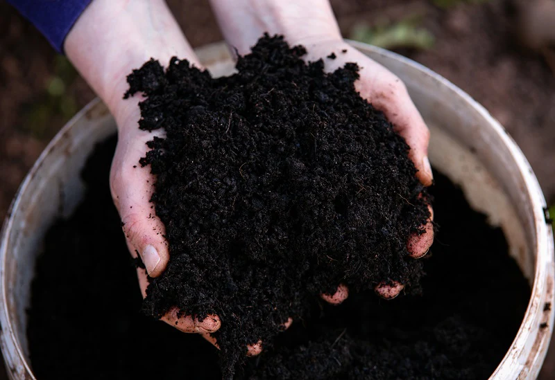 Cow Dung Manure Fertilizers for Plants 1kg - Image 2