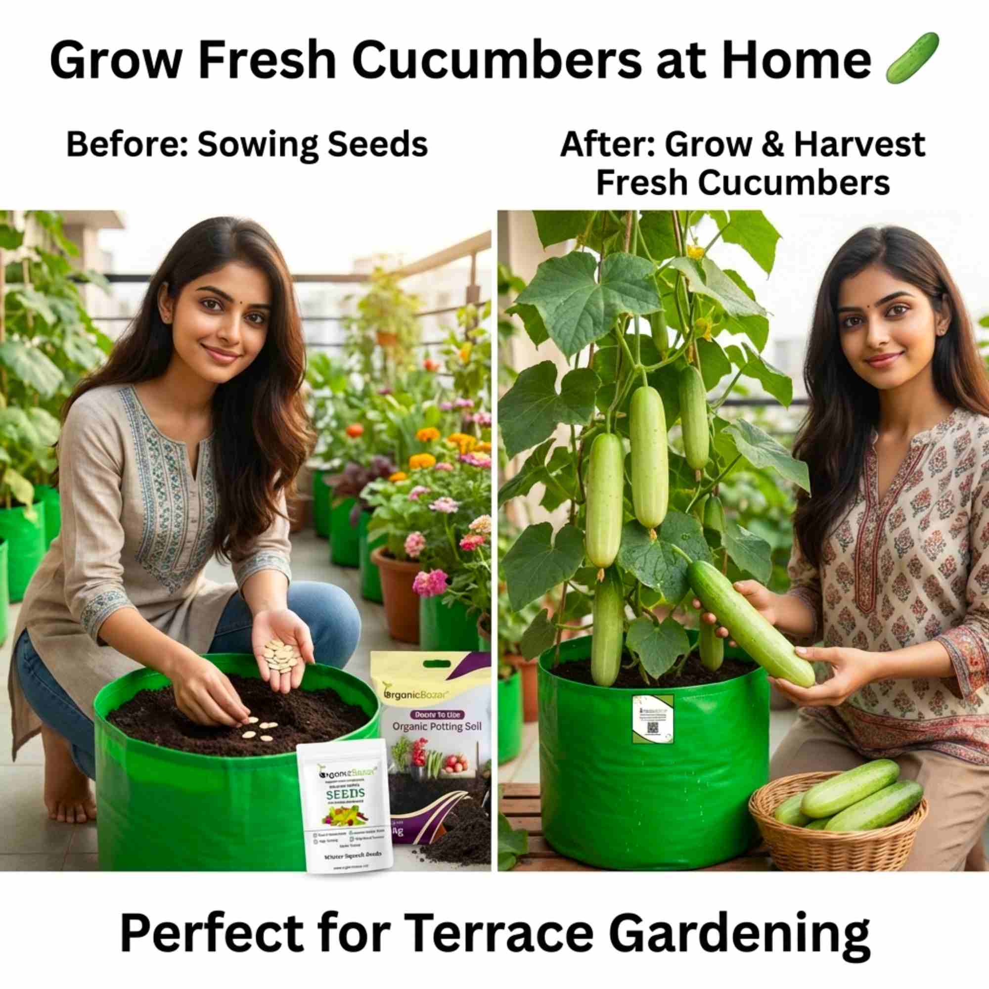 Cucumber Light Green Seeds - 20 Seeds (Kakdi/ककड़ी/खीरा के बीज) High Germination, Easy to Grow, High Yield Seeds For Terrace Gardening - Image 2