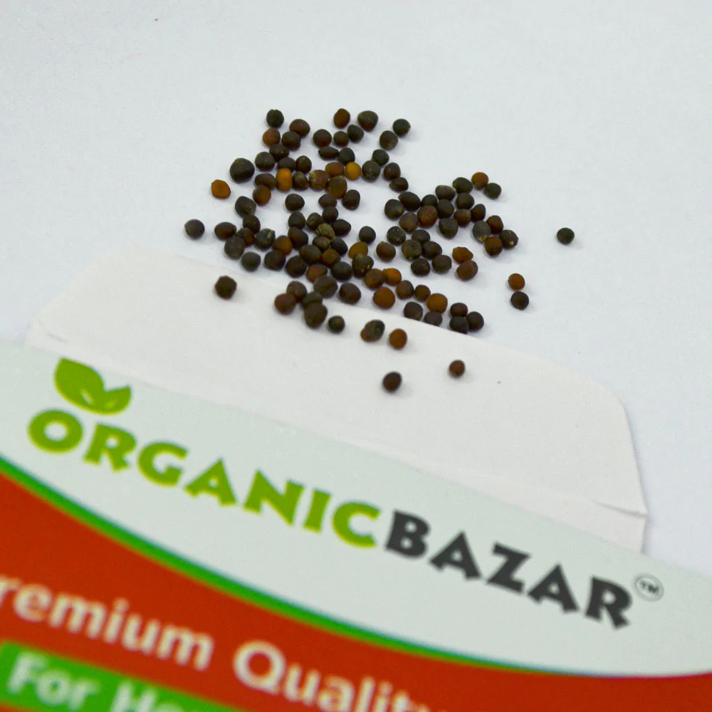 Curly Kale Seeds - 100 Seeds (केल के बीज) High Germination/ Easy to Grow/ Ideal for Terrace/Kitchen Gardening - Image 3