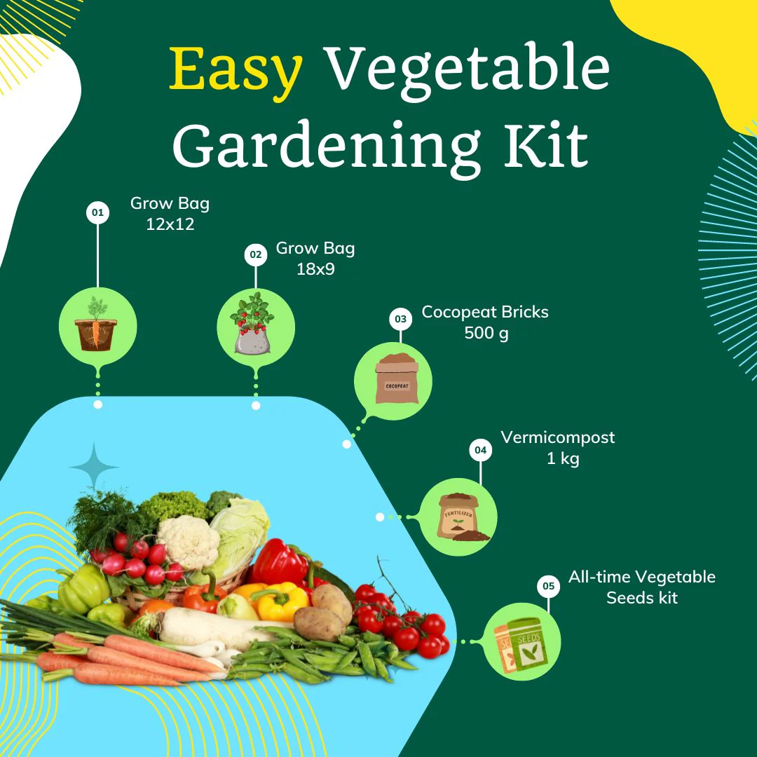 OrganicBazar Easy Vegetable Gardening Kit for Home Garden - Starter Kit - Image 4