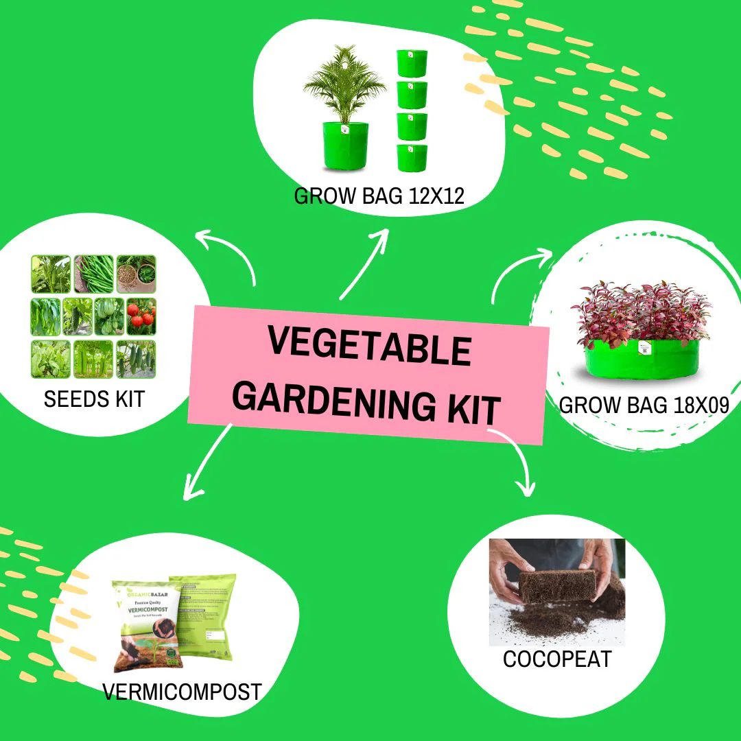 OrganicBazar Easy Vegetable Gardening Kit for Home Garden - Starter Kit - Image 5